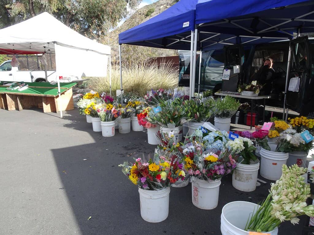 Vibrant Flower Stalls