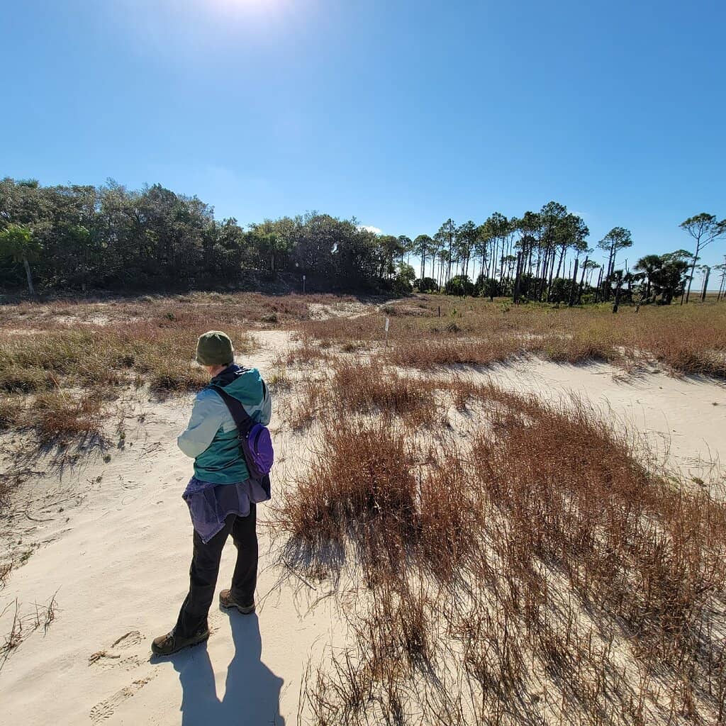 Shell-Strewn Beaches