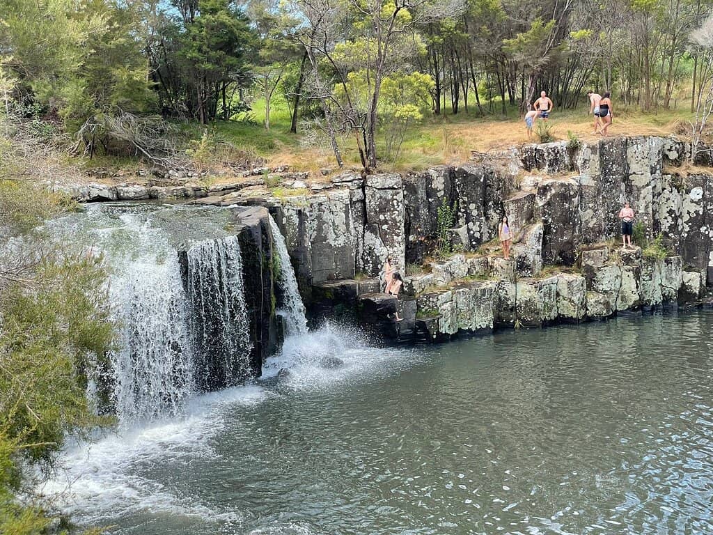 Scenic Bushwalk