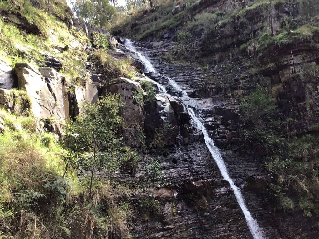 Peaceful Natural Ambiance