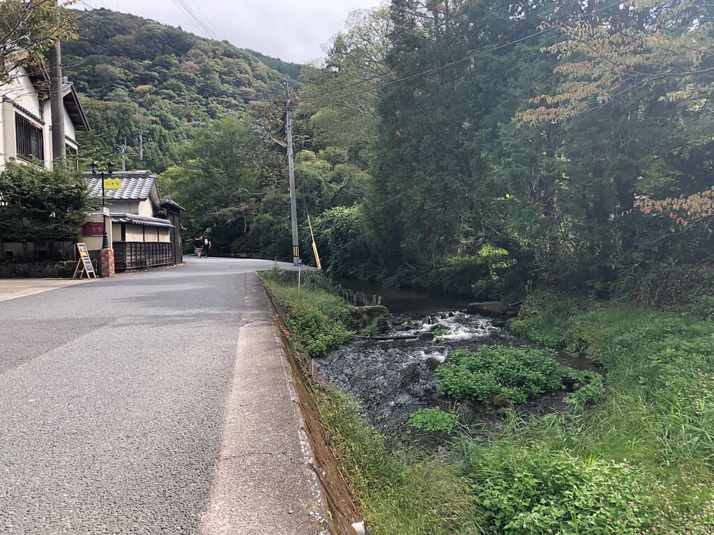 Yufuin no Mori Train