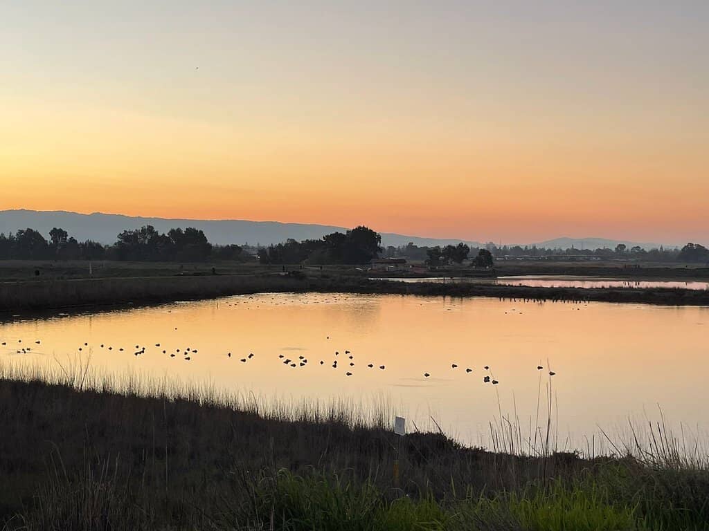 Scenic Walking & Biking Trails