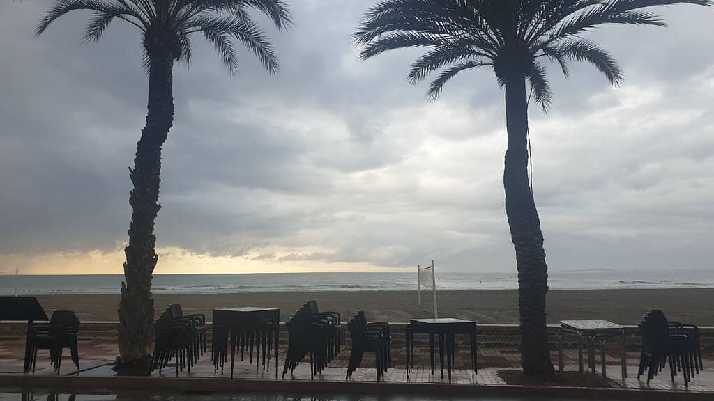 Vibrant Beachfront Promenade