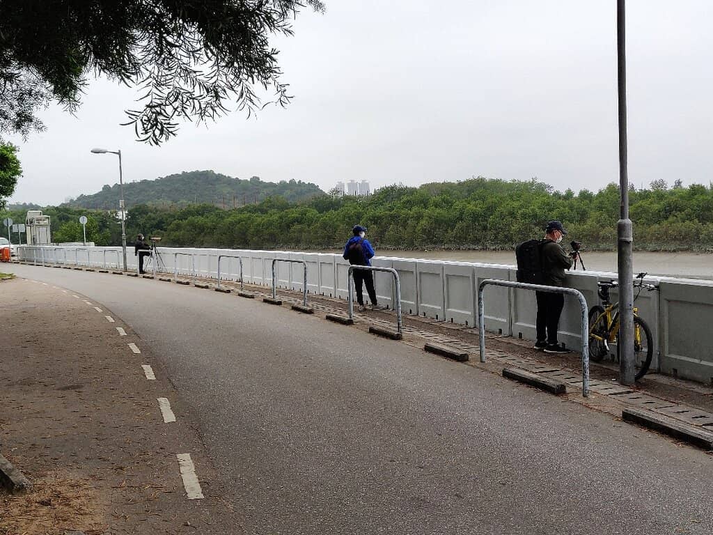 Nam Sang Wai Ferry