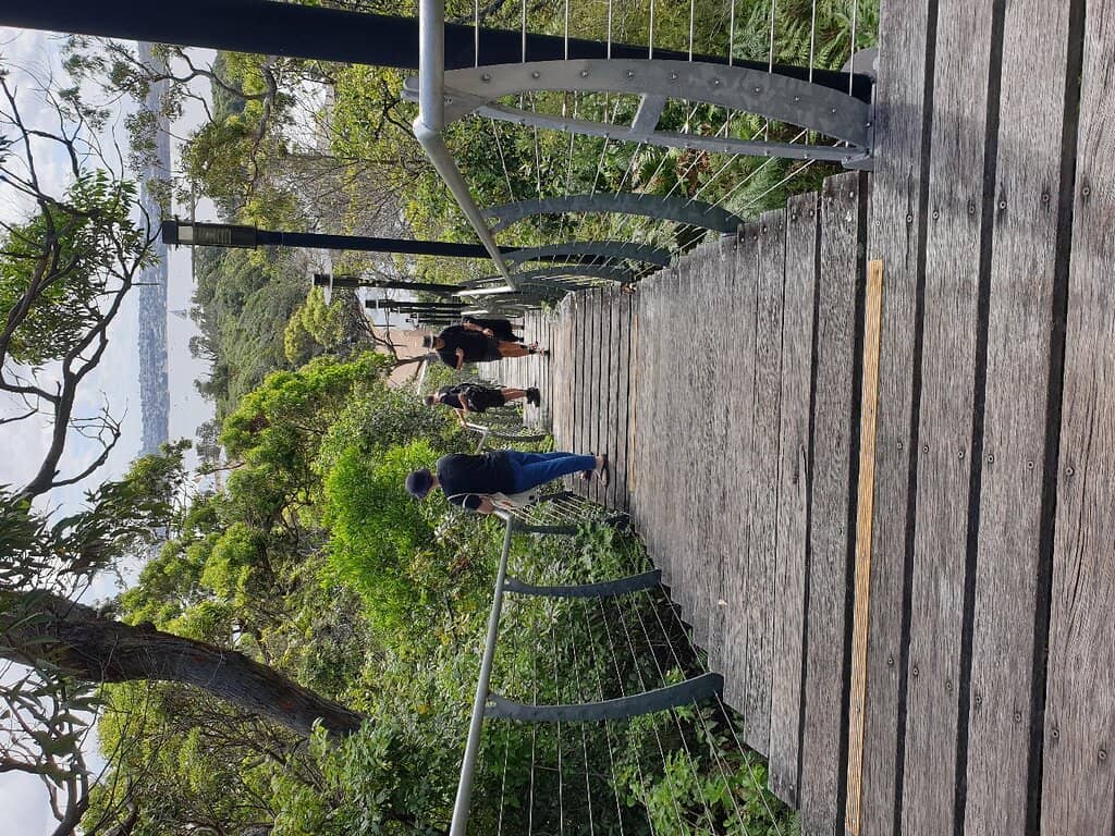 Vertical photo