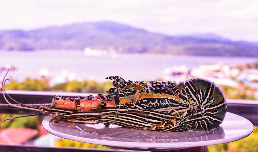 Fresh Lobster