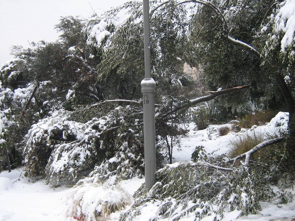 Montefiore Windmill