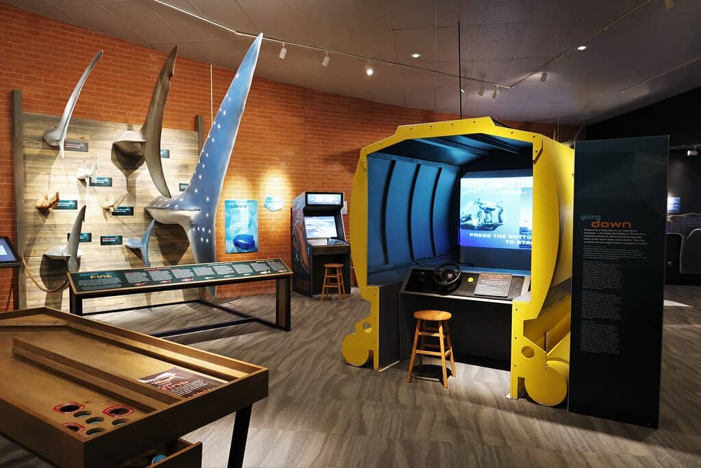 Interactive Science Exhibits
