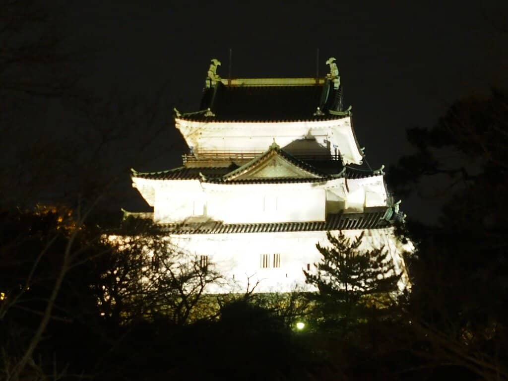 Vertical photo