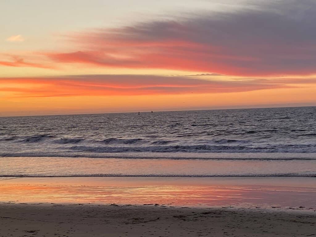 Bird-Watching Paradise