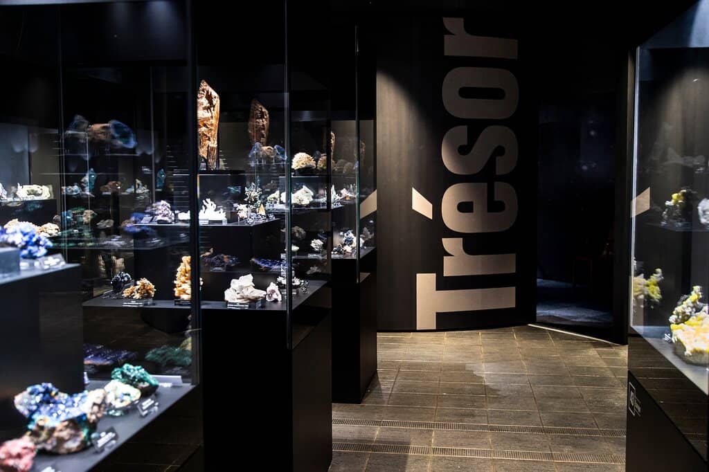 Rare Treasures Exhibit