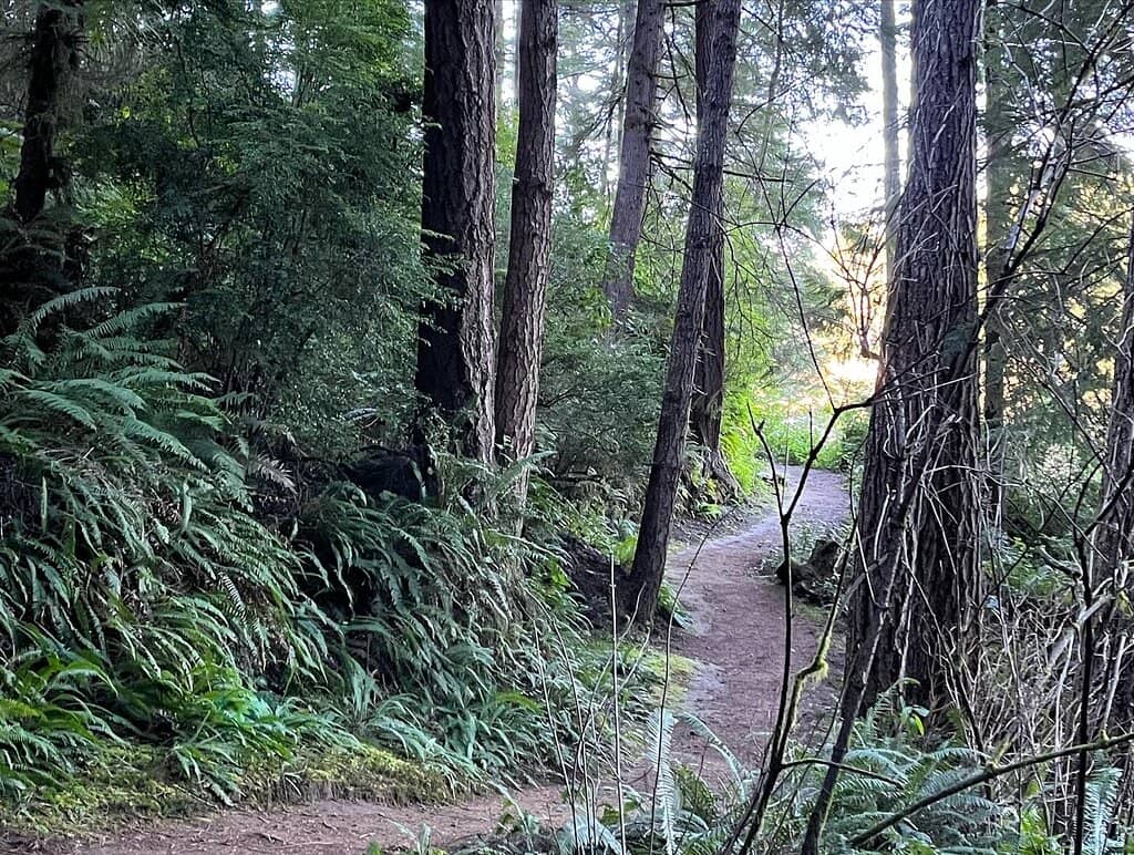 Lakeside Campsites