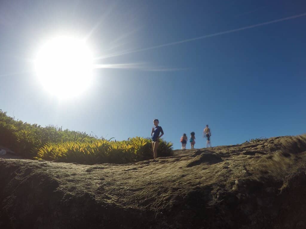 Vertical photo