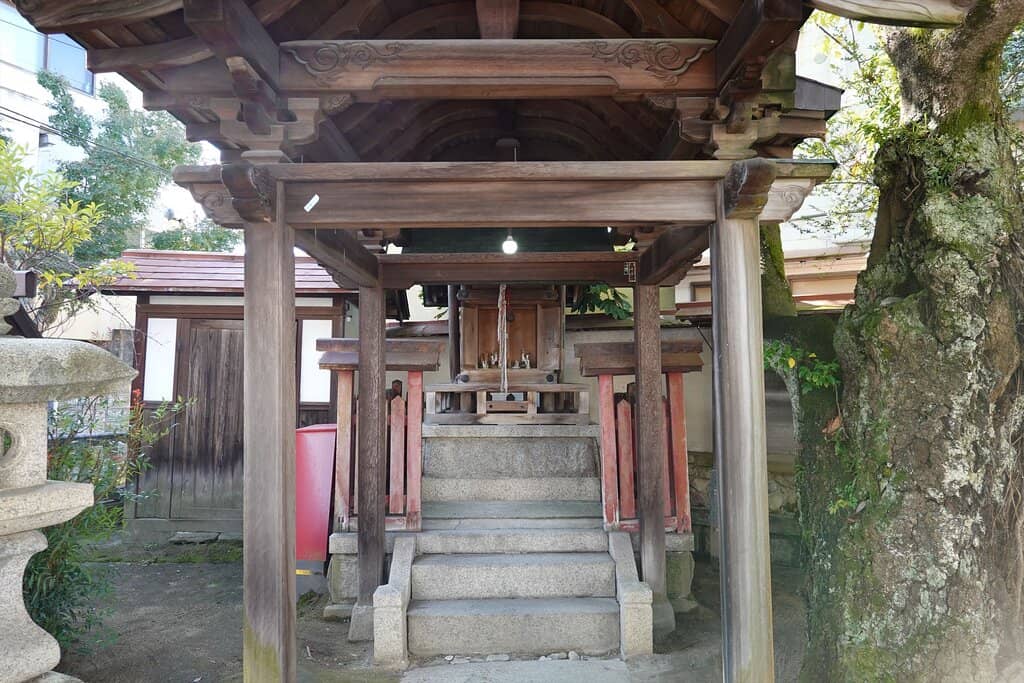Vertical photo
