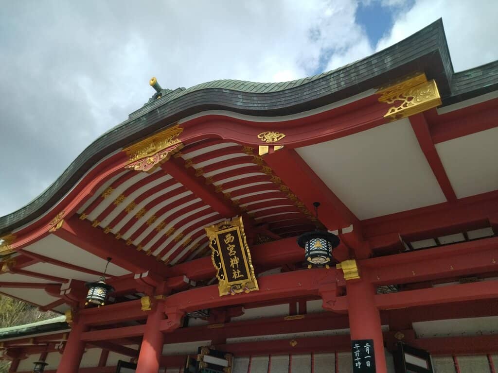 Vertical photo