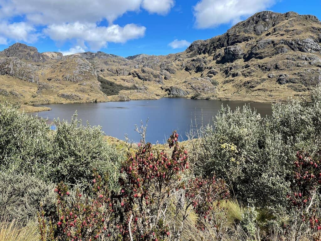 Cerro San Luis Summit Trail