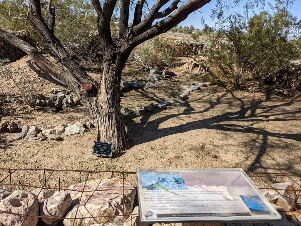 Baseline Trail