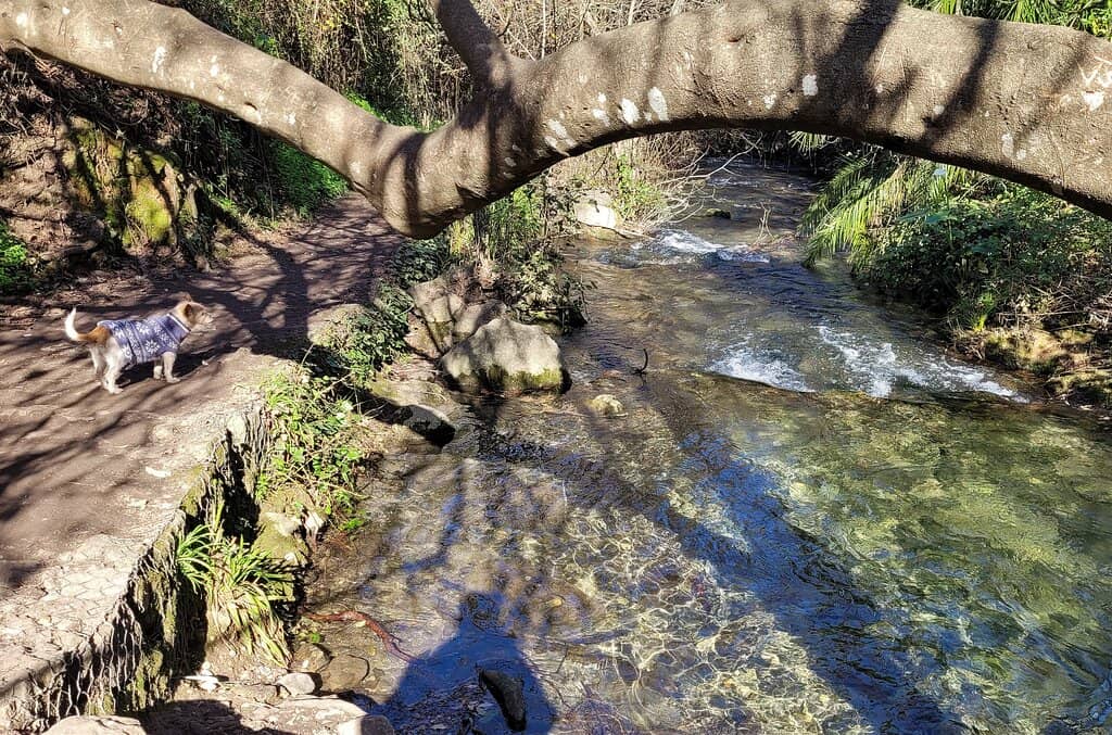 Benamahoma to El Bosque Loop