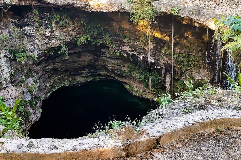 Cliff Jumping Thrills