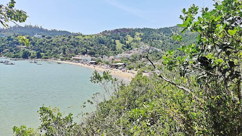Traditional Sugar Cane Press