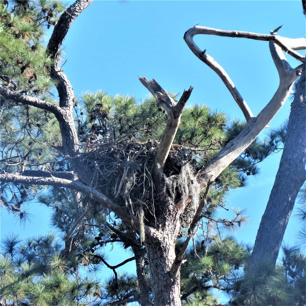 Historical Battle Site