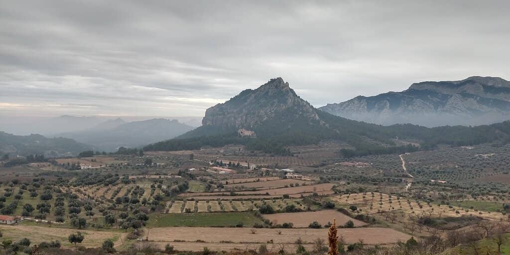 Ancient Olive and Almond Groves