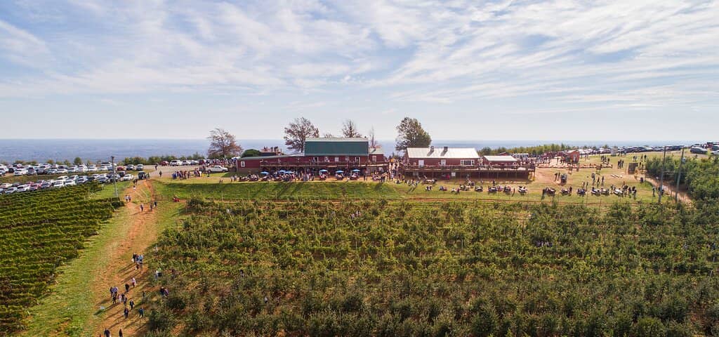 Seasonal Fruit Picking