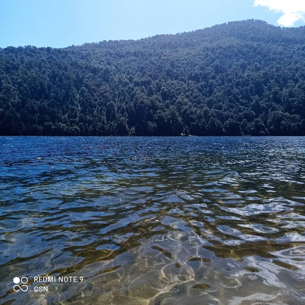 Lago Tinquilco Swimming