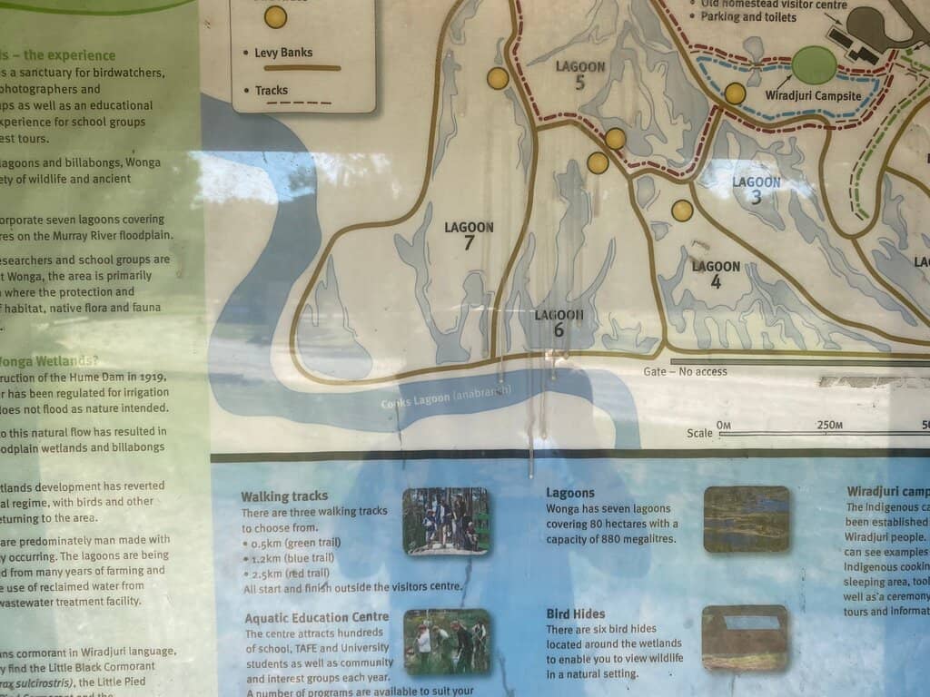 Wagirra Trail