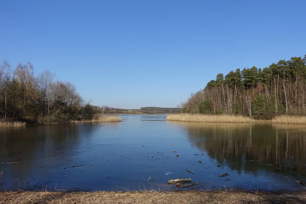 Tranquil Relaxation Spot