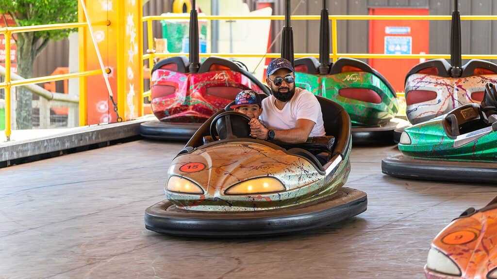 Spindizzy Ride