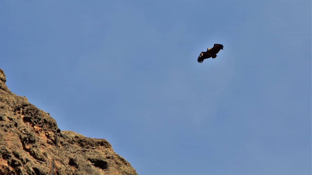 Scenic Hiking Trails