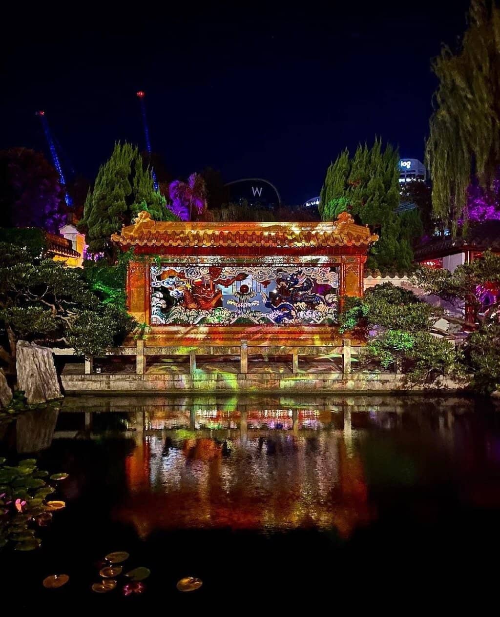 Lily Pond & Koi