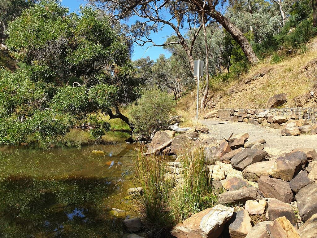 Diggers Walk Loop