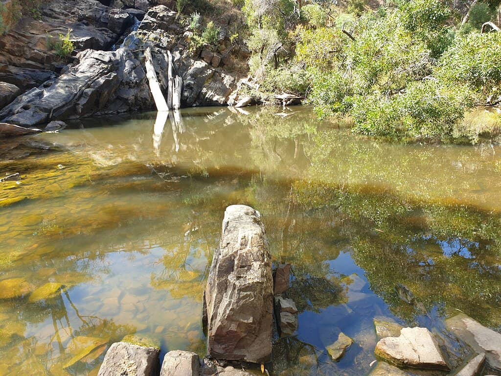 Vertical photo