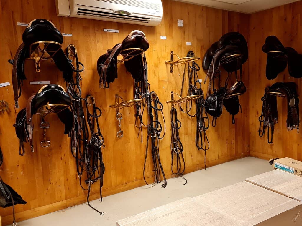 Arabian Horse Breeds