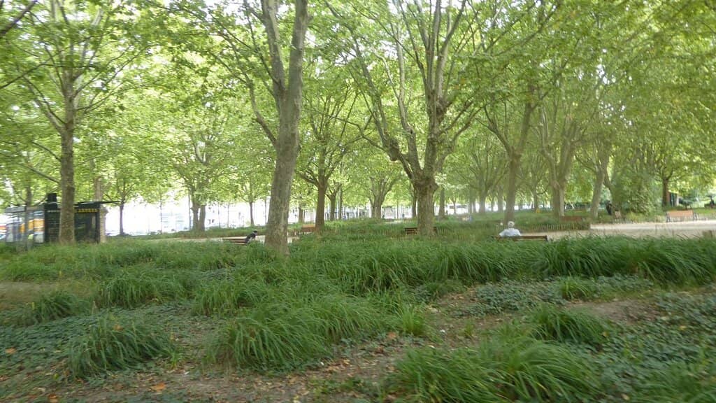 Open Green Spaces