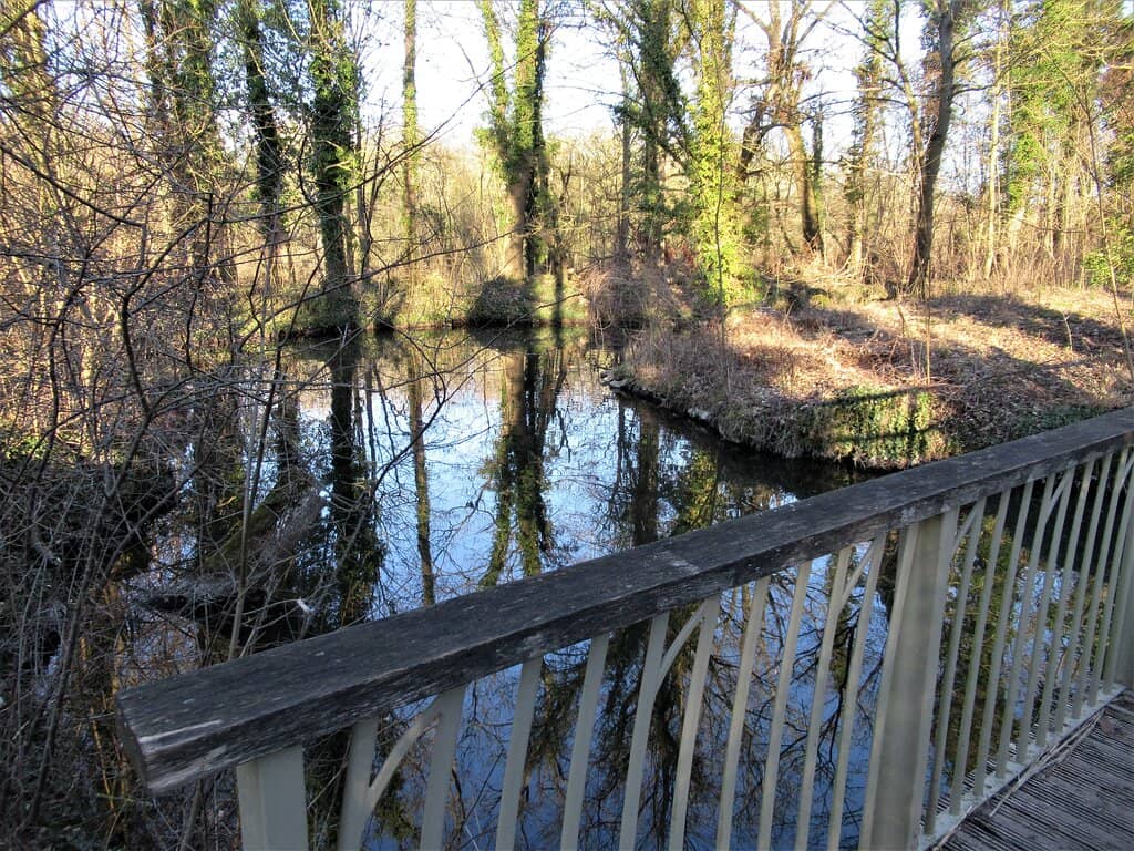 Children's Play Area