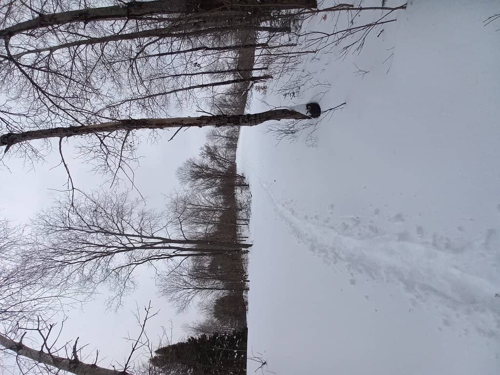 Vertical photo