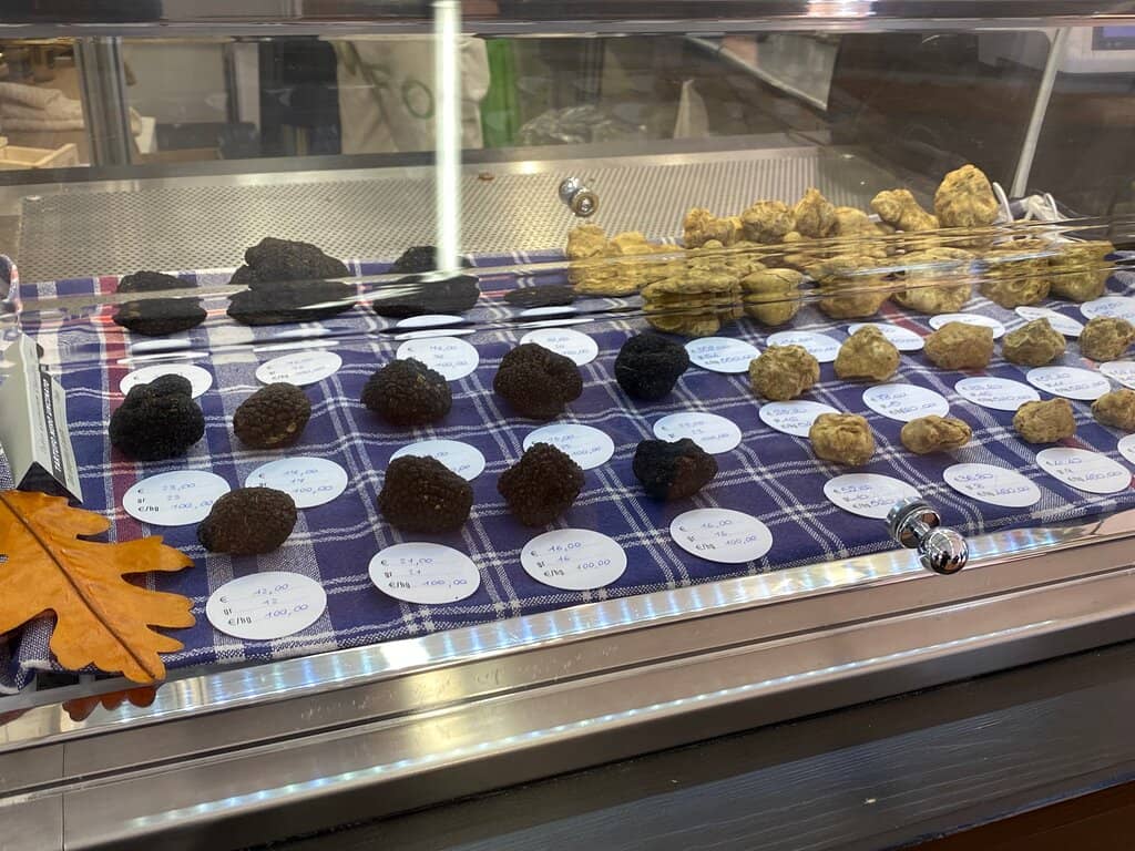 Truffle Hunting Experience