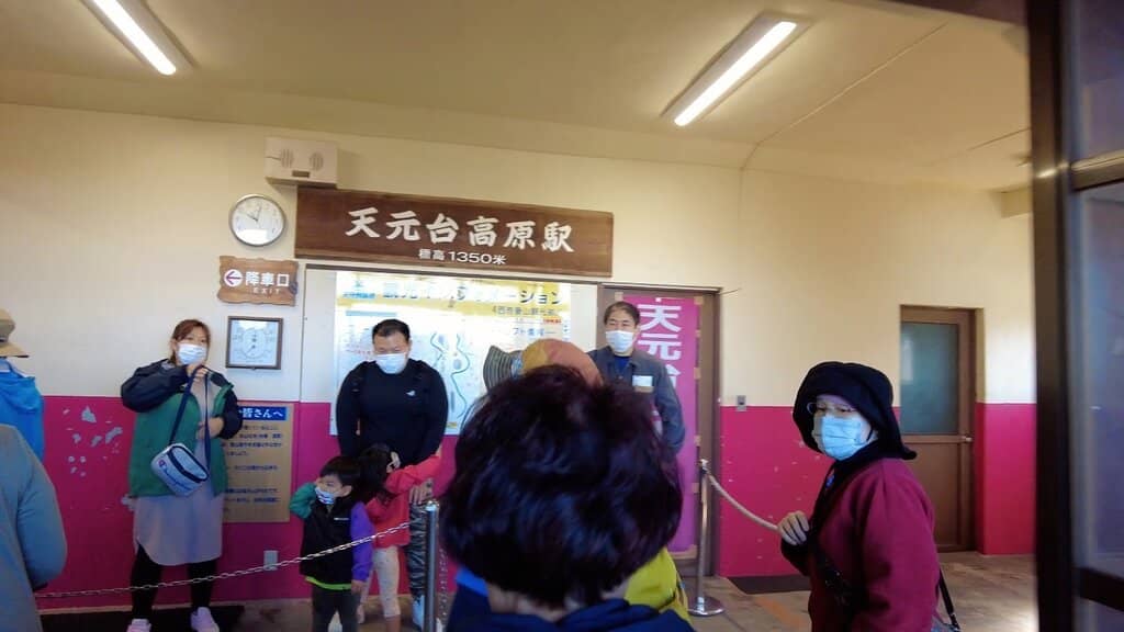 Alpine Flower Fields