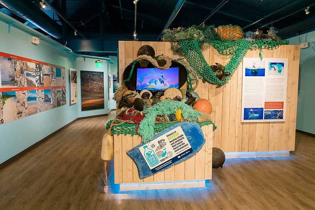 Ocean Plastic Art Collection