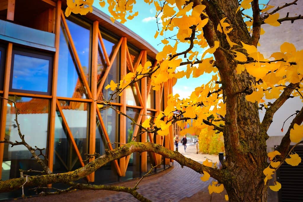 Hans Christian Andersen's Birthplace