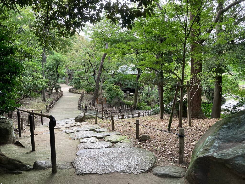 The Central Pond