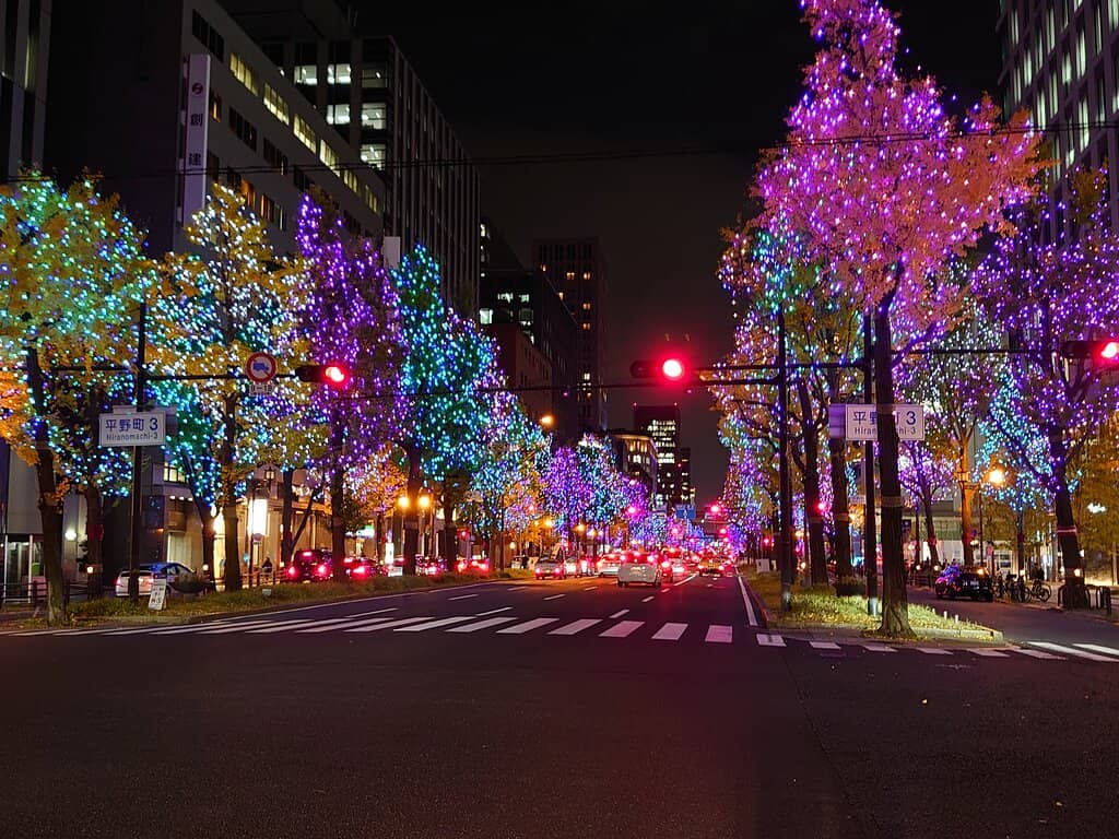 Ginkgo Tree Lined Avenue