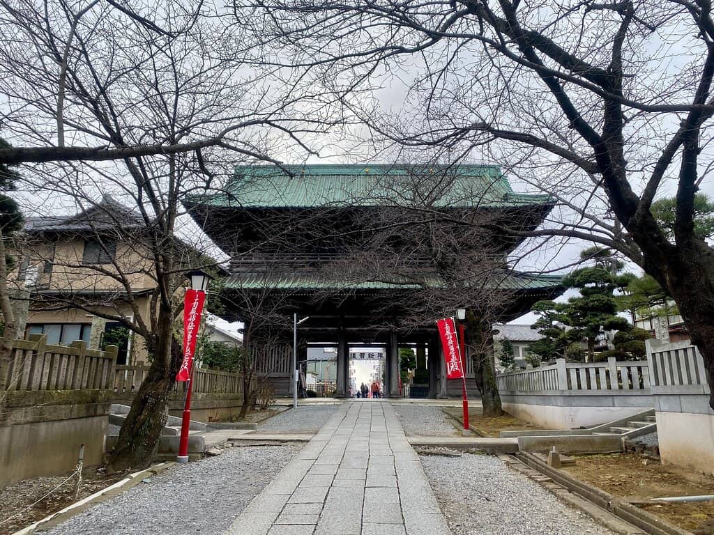 Vertical photo