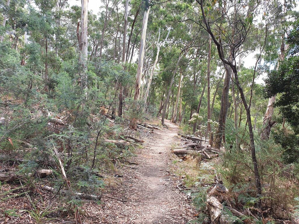 Picnic Spots