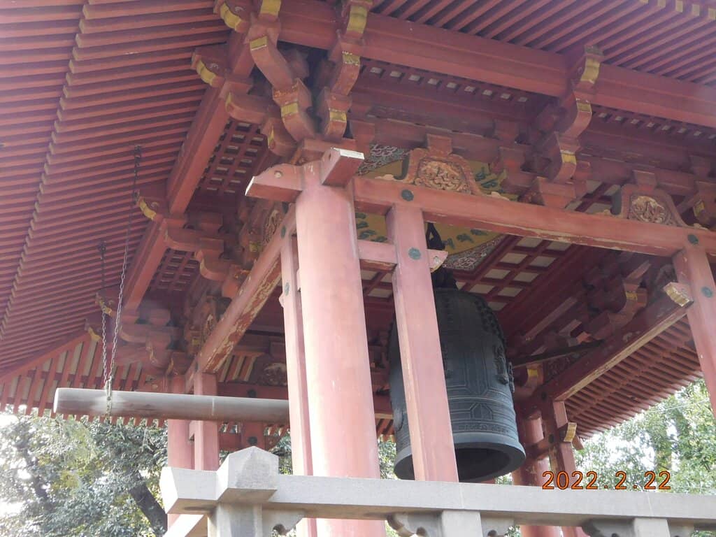 Cultural Festival Experience