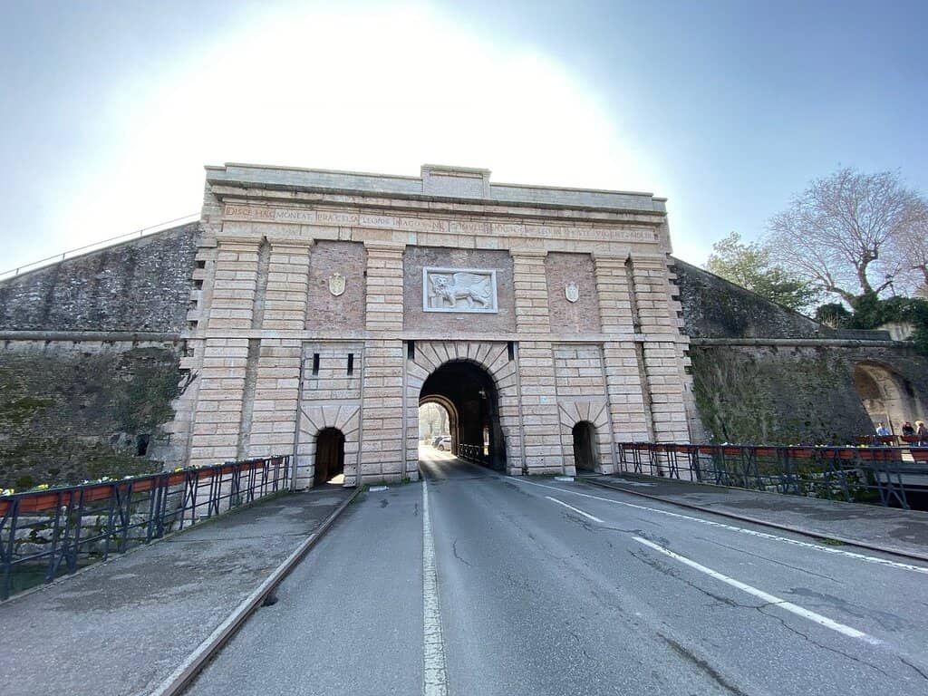 Vertical photo