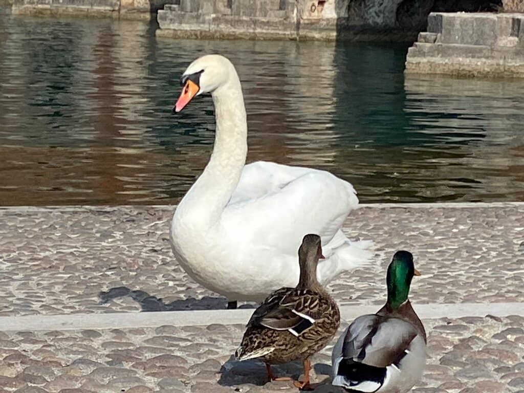 Historic Peschiera del Garda